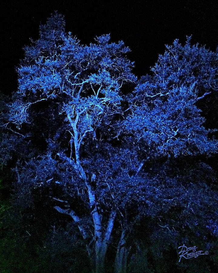 Blue Tree Digital Art - Blue Magic by Doug Kreuger