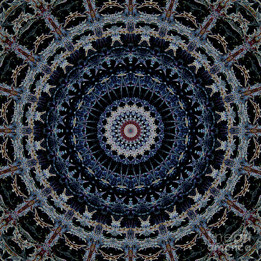 Blue Mandala Digital Art by Kathi Shotwell