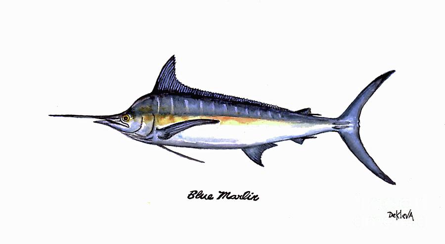 Blue Marlin Painting by Joe Dekleva | Fine Art America