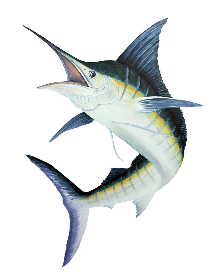 Blue Marlin Painting by Mary Phillip - Fine Art America