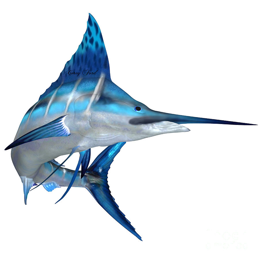 Blue Marlin Ocean Fish Painting by Corey Ford | Fine Art America