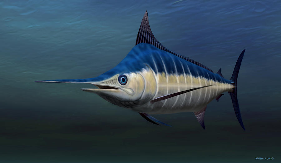 Blue Marlin Painting by Walter Colvin