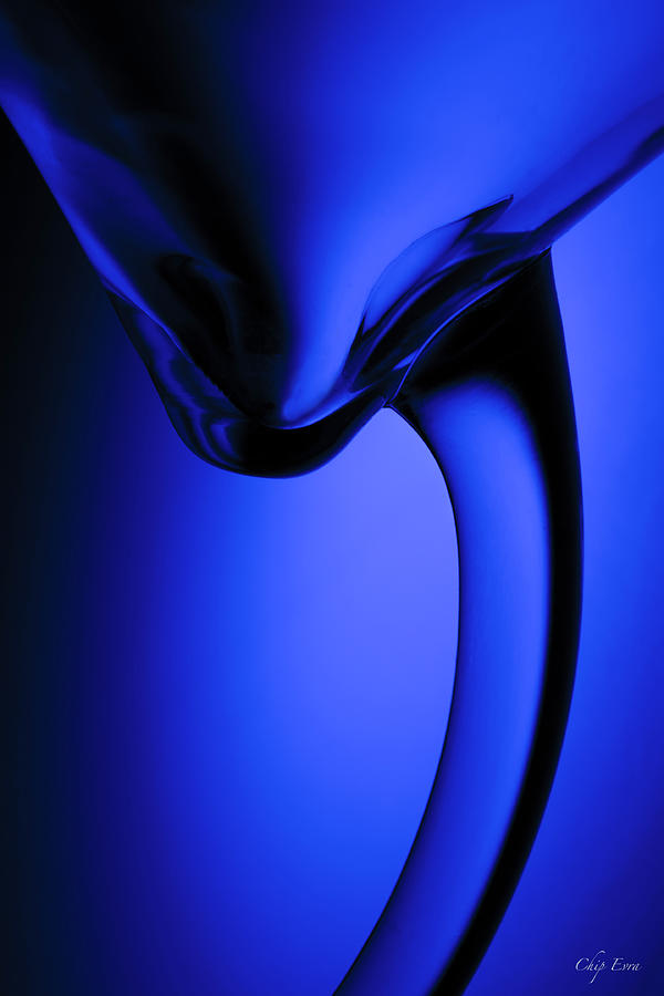 Blue Martini Photograph by Chip Evra