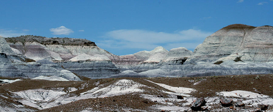 Nature Photograph - Blue Mesa 3 by Chrissy Skeltis