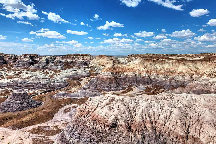Petrified Forest National Park Photograph - Blue Mesa by James Marvin Phelps