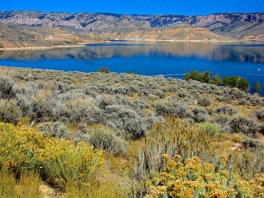 Blue Mesa Reservoir 1 Photograph by Diana Douglass
