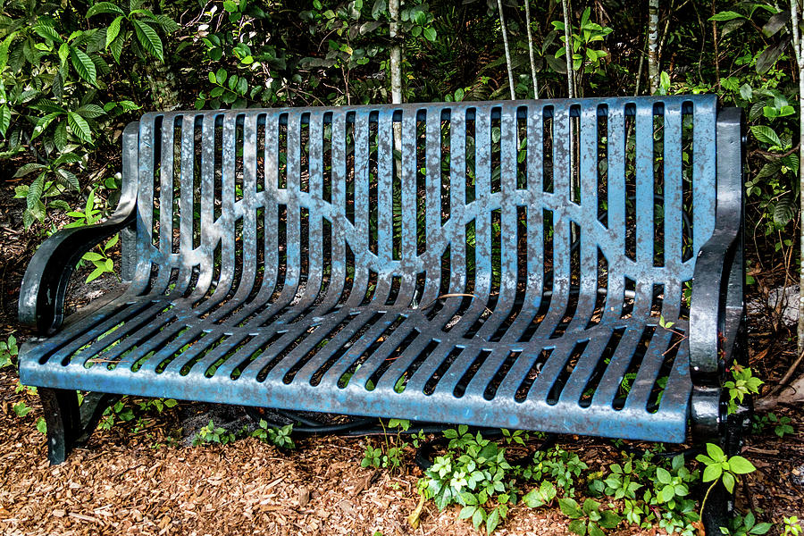 Blue Metal Bench Photograph by Gregory Gendusa - Fine Art America