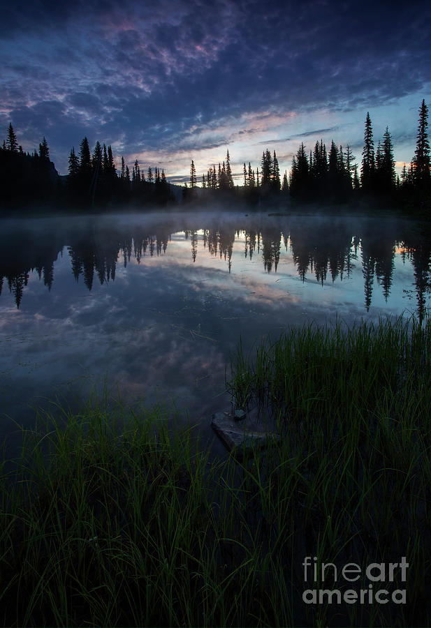 Blue Mist Dawn Photograph by Michael Dawson