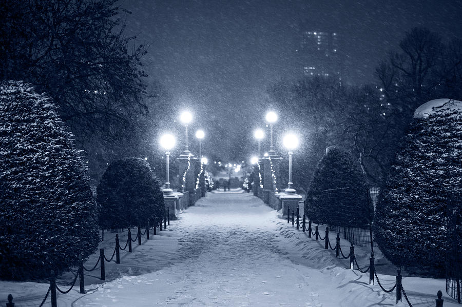Blue Monochrome Boston Public Garden Snow Storm MA Massachusetts Bridge Lights Photograph by Toby McGuire