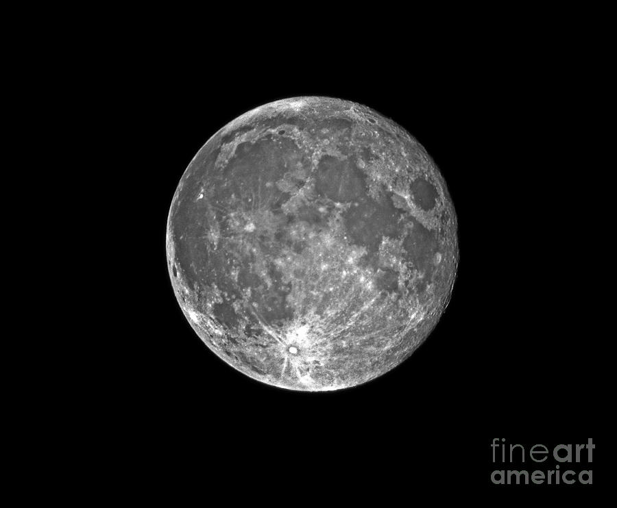 Blue Moon 07/31/2015 Photograph by Frank Larkin