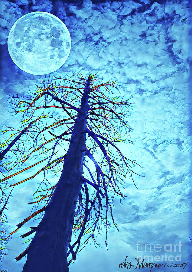Blue Moon and Lonely Tree Photograph by Margaux Dreamaginations - Fine ...