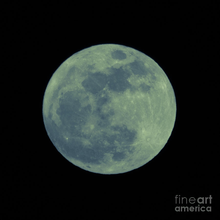 Blue Moon Photograph by Cheryl McClure