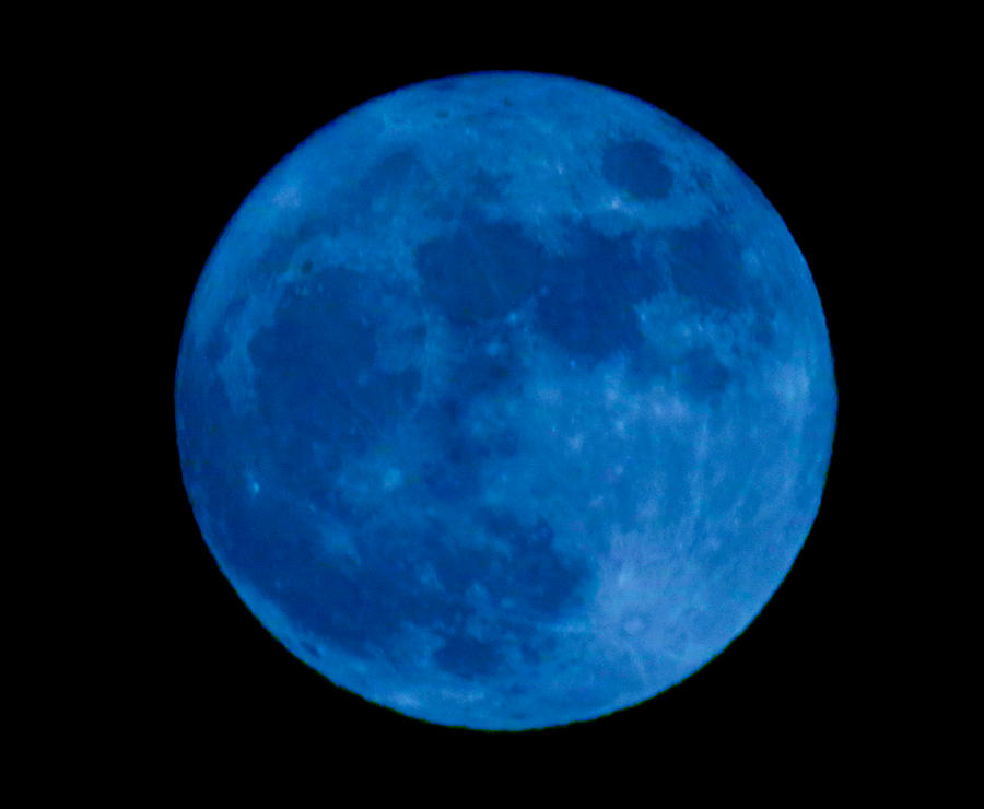 Blue Moon Photograph by Donald Crosby - Fine Art America