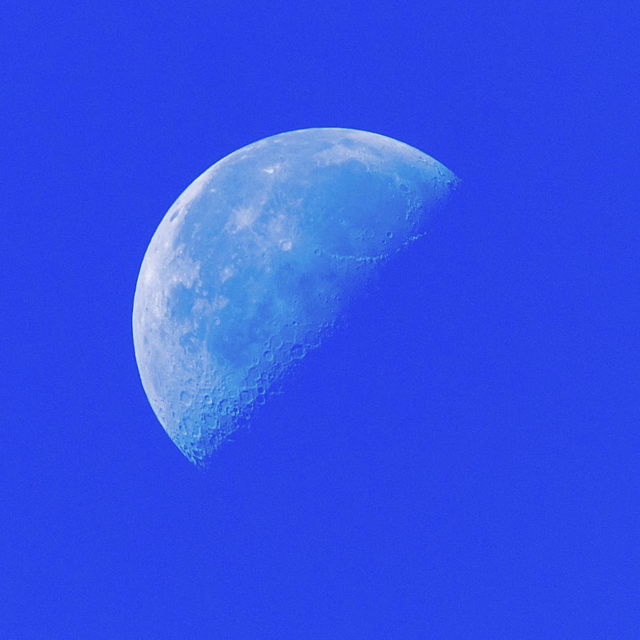 Blue Moon Photograph by Douglas Killourie