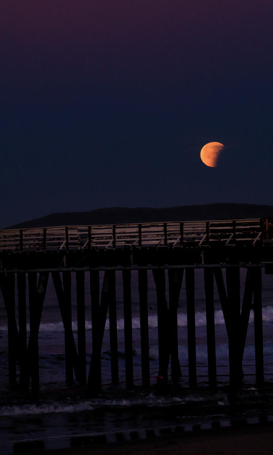 Blue Moon Eclipse Photograph by Dr Janine Williams