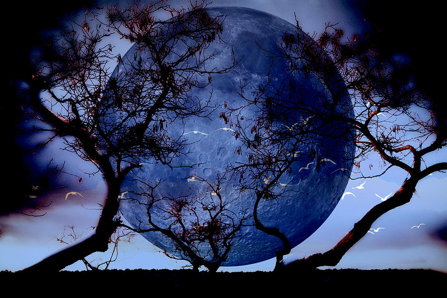 Blue Moon Fantasy Photograph by James DeFazio - Fine Art America