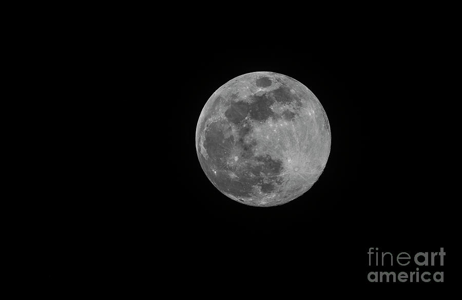 Blue Moon - Full Moon Photograph by David Bearden