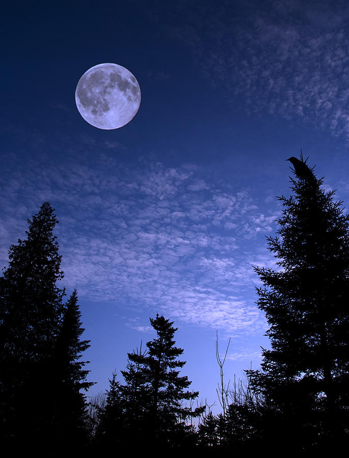 Blue Moon Photograph by Jeff Galbraith