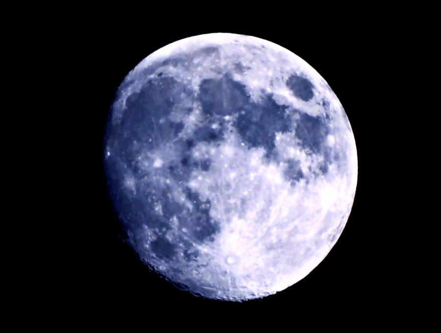 Blue Moon Photograph by Morgan Carter