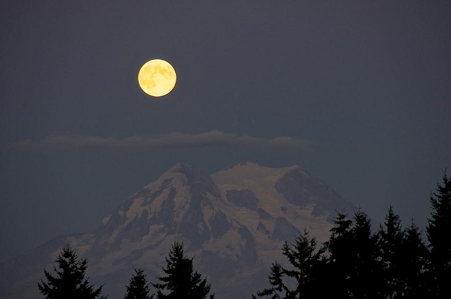 Nature Photograph - Blue Moon - Mount Rainier by Sean Griffin