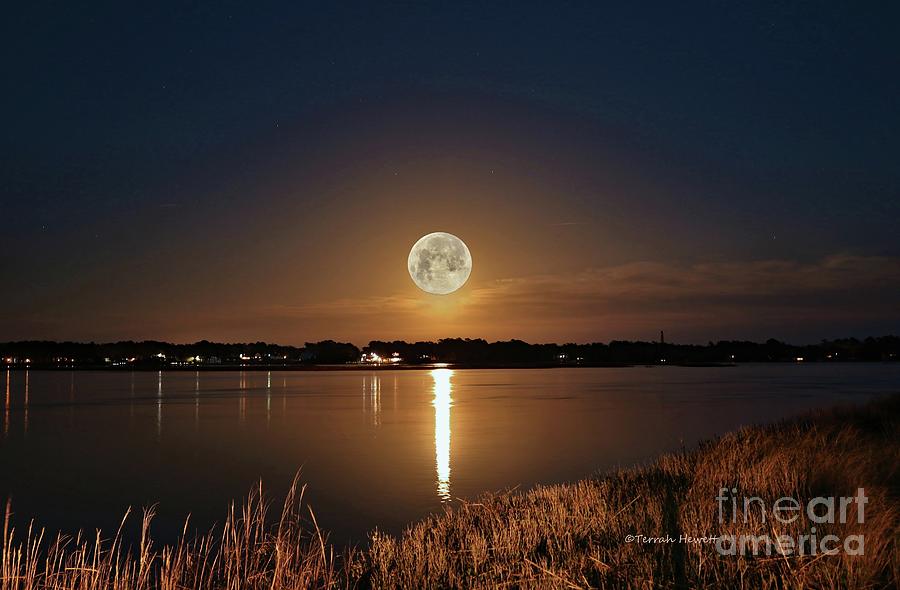Full Moon Photograph - Blue Moon Of Easter by Terrah Hewett