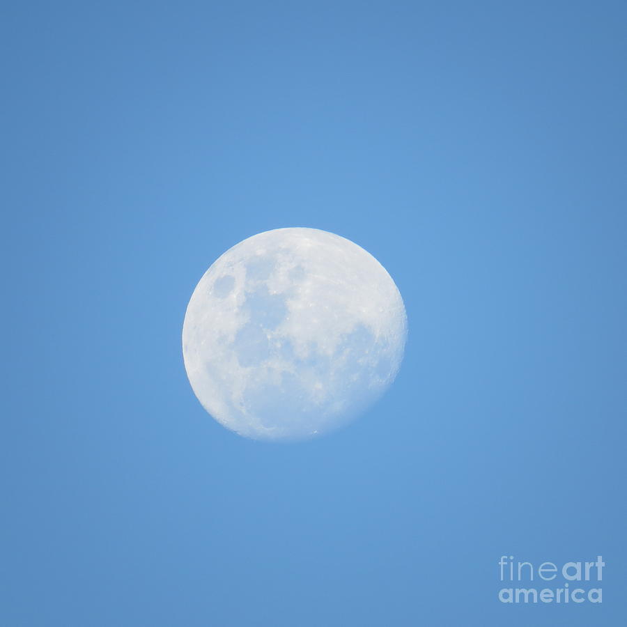 Blue Moon On Blue Photograph by Evie Hanlon