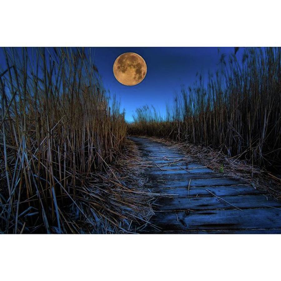 Beautiful Photograph - Blue Moon On Boardwalk In Layton  Utah by Michael Ash