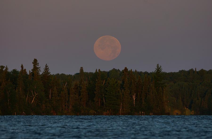 Blue Moon over Berry Lake Photograph by Steven Clipperton