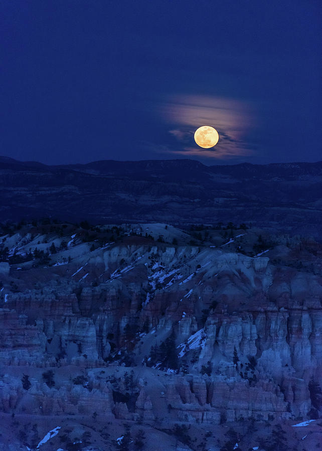 Blue Moon over Bryce Photograph by Kelly VanDellen