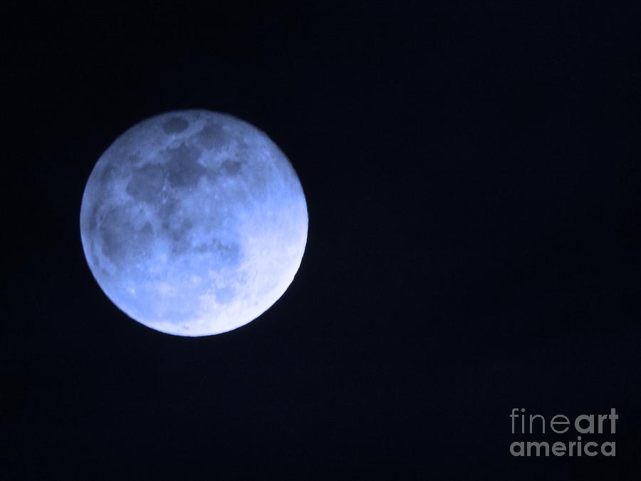 Blue Moon Photograph by Phyllis Kaltenbach
