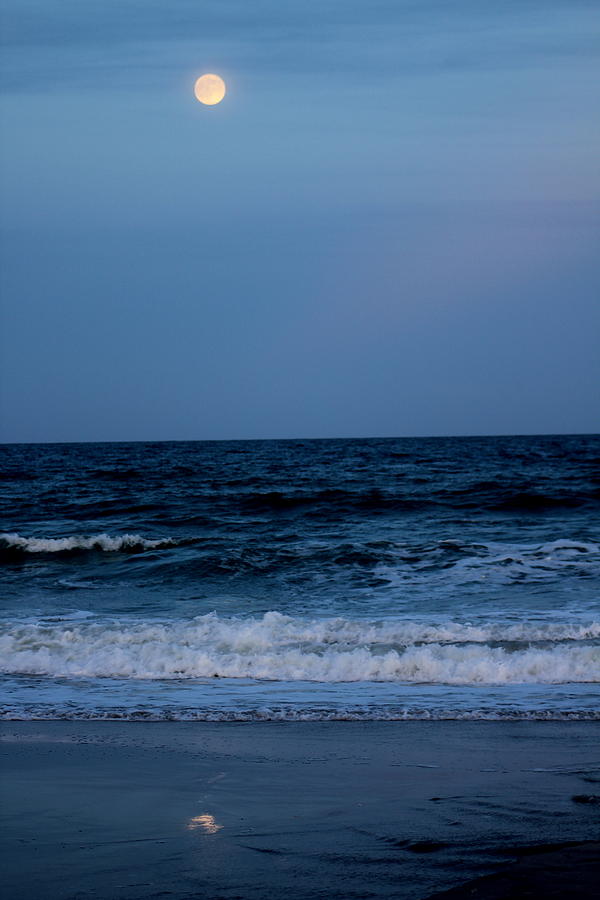 Blue Moon Portrait and reflection Photograph by Rand Wall - Pixels