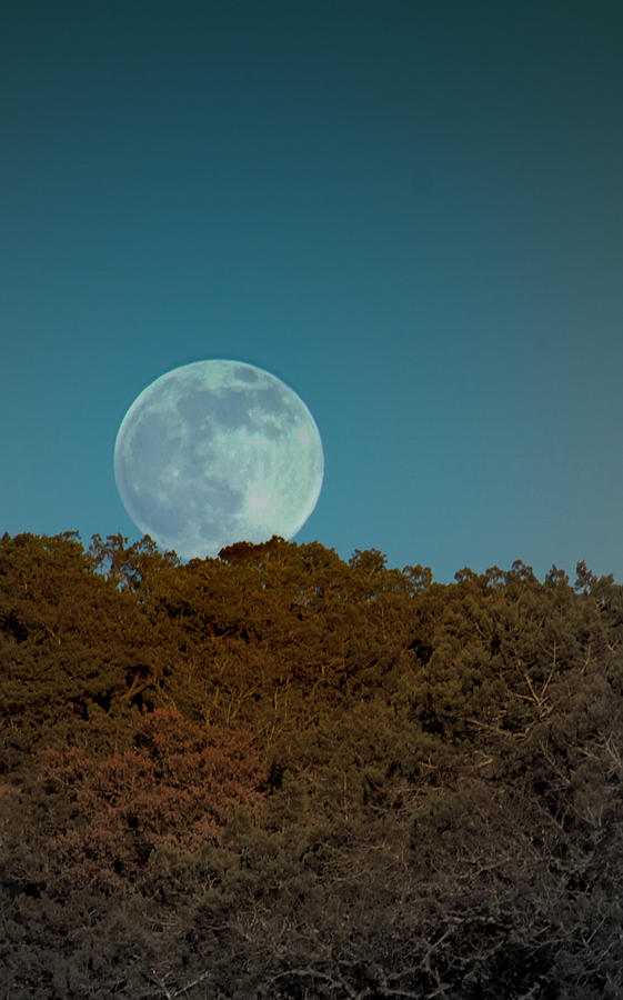 Blue Moon Risign Photograph by Karen Musick
