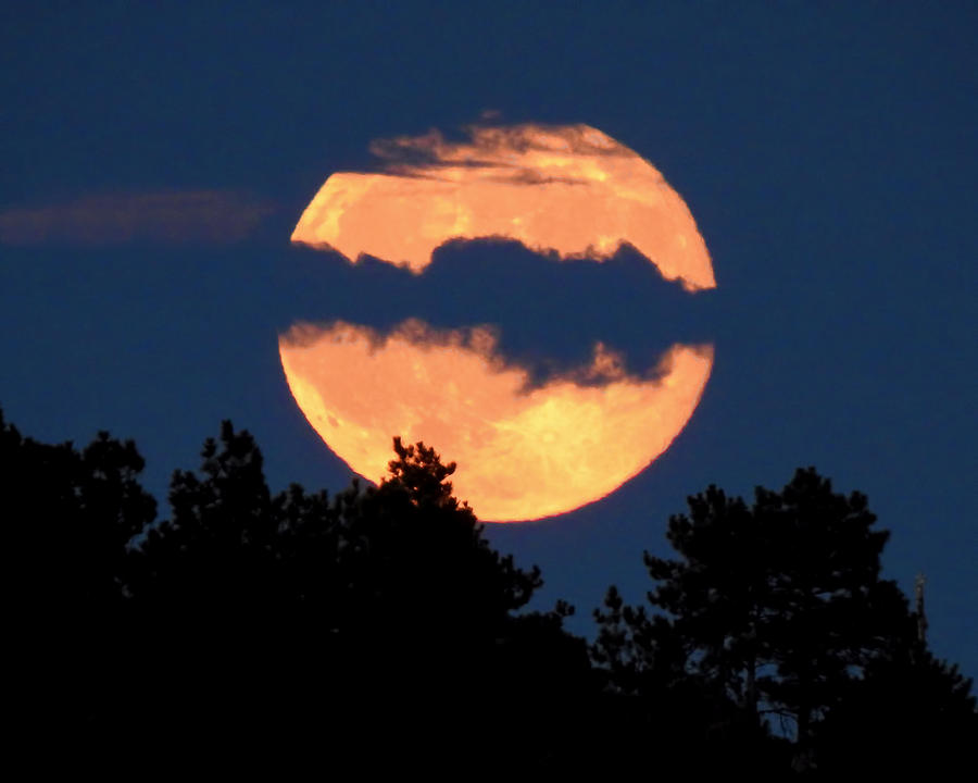 Blue Moon Rising Photograph by Dawn Key