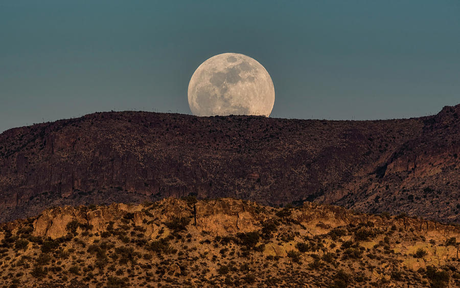 Blue Moon Rising  Photograph by Saija Lehtonen