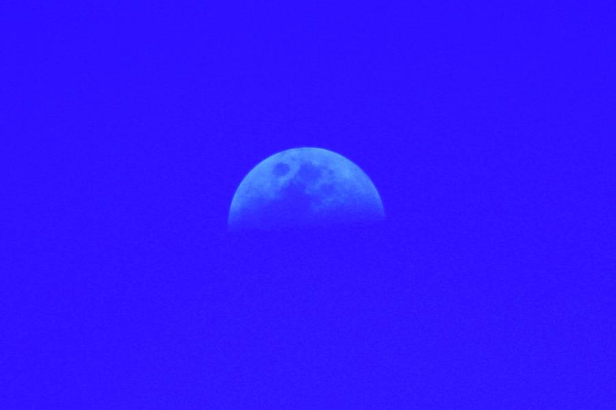 Blue Moon Photograph by Robert Wilder Jr