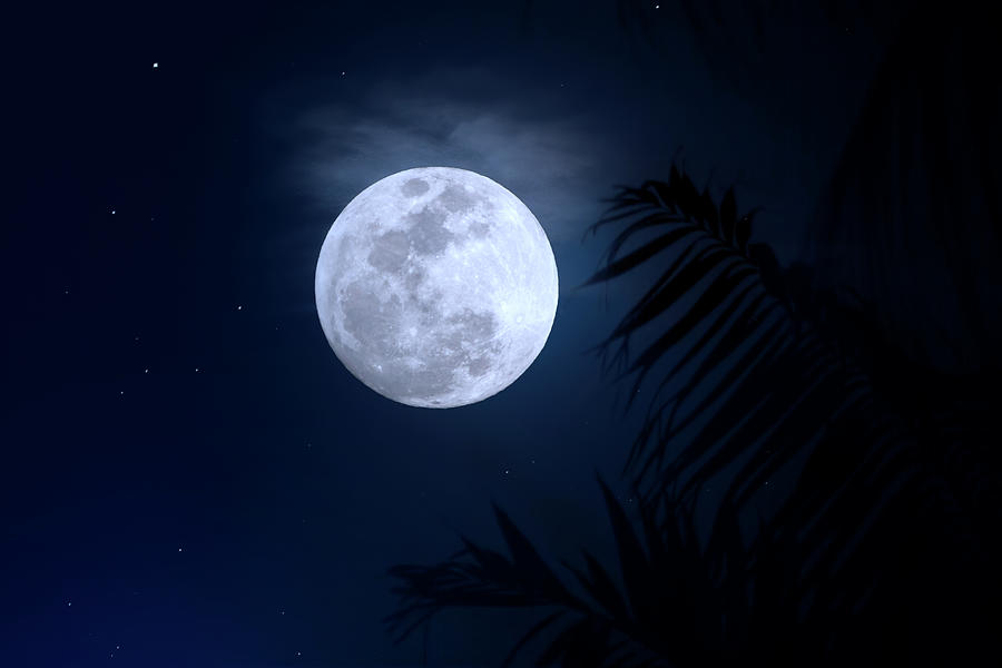 Blue Moon Supermoon Photograph by Mark Andrew Thomas