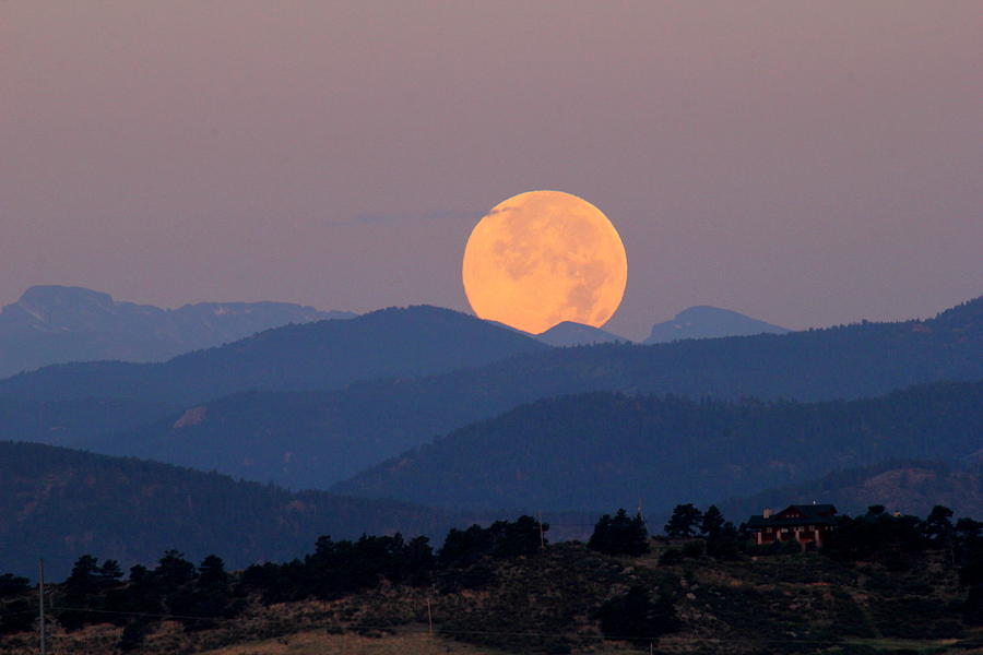 Blue Moon  Photograph by Trent Mallett