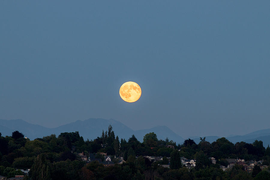 Blue Moon.3 Photograph by E Faithe Lester