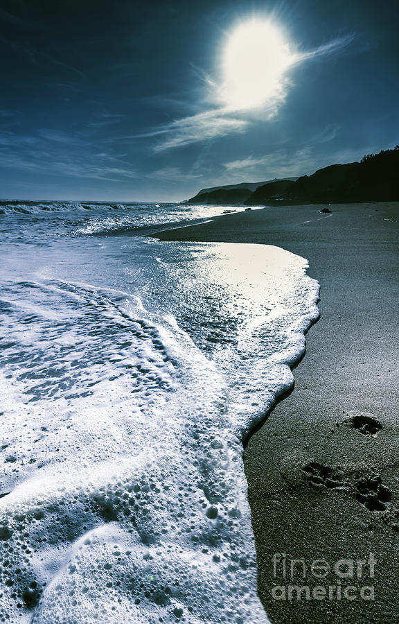 Blue Moonlight Beach Landscape Photograph