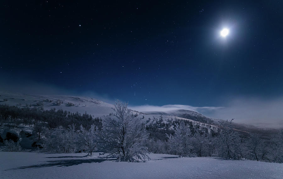 Cold moonshine winternight Photograph by Finn Haug - Fine Art America