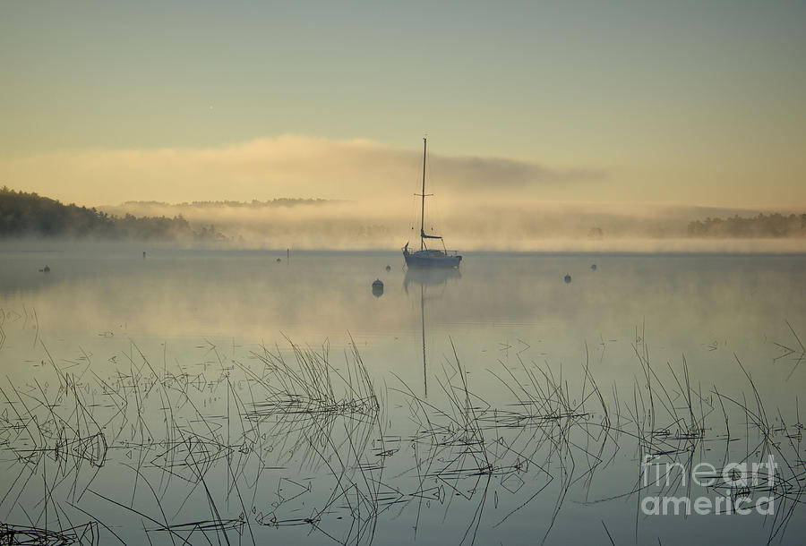 The Blue Hour Photograph - Blue Morning by Diana Nault The Blue Hour Photograph - Blue Morning by Diana Nault