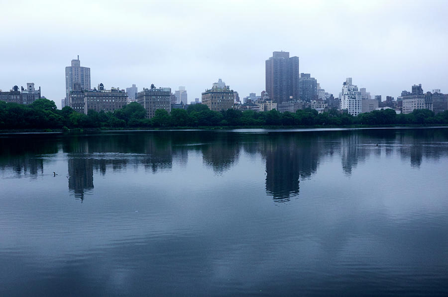 Blue Morning in Central Park Photograph by Alexander Shamota