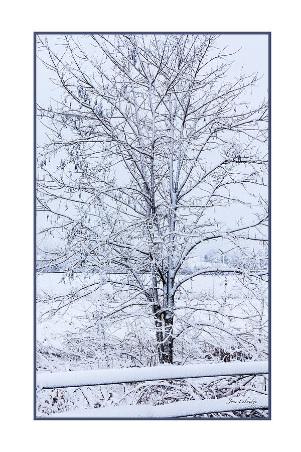 Blue Morning in Winter Poster Photograph by Joni Eskridge