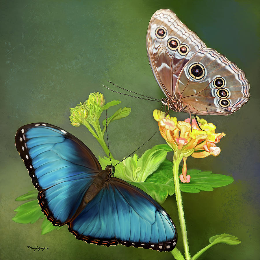 Blue Morpho  butterflies Digital Art by Thanh Thuy Nguyen