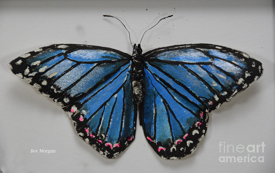 Blue Morpho Butterfly Painting by Bev Morgan
