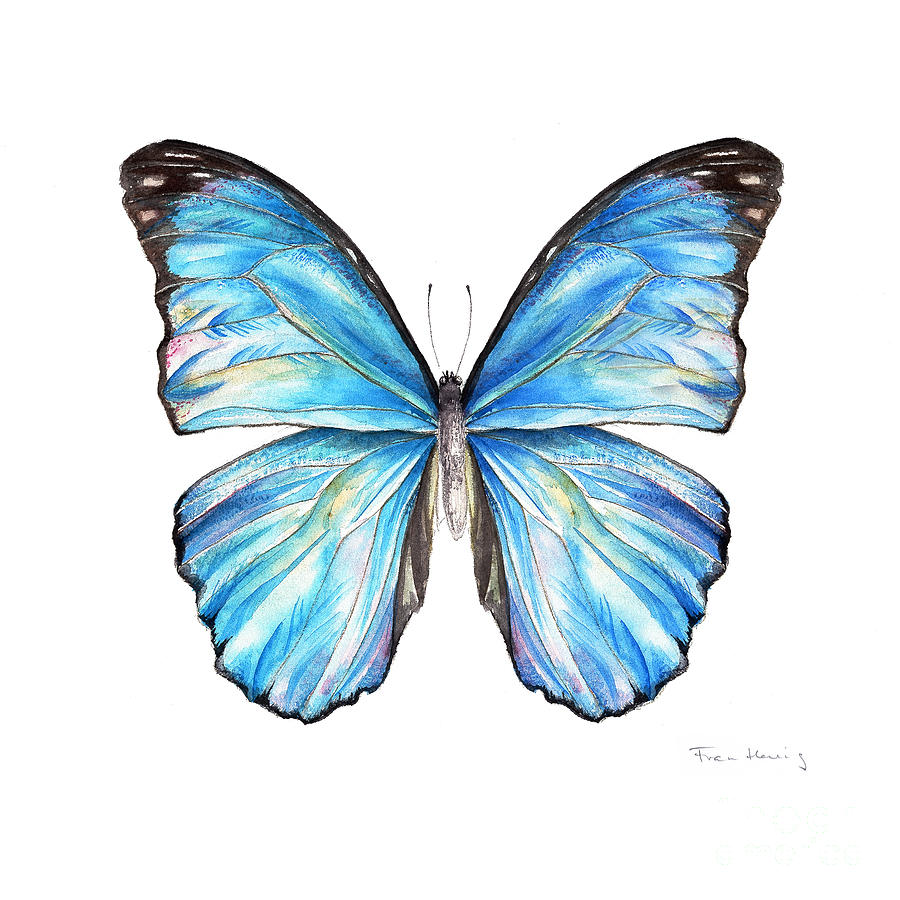 Blue Morpho Butterfly Painting by Fran Henig