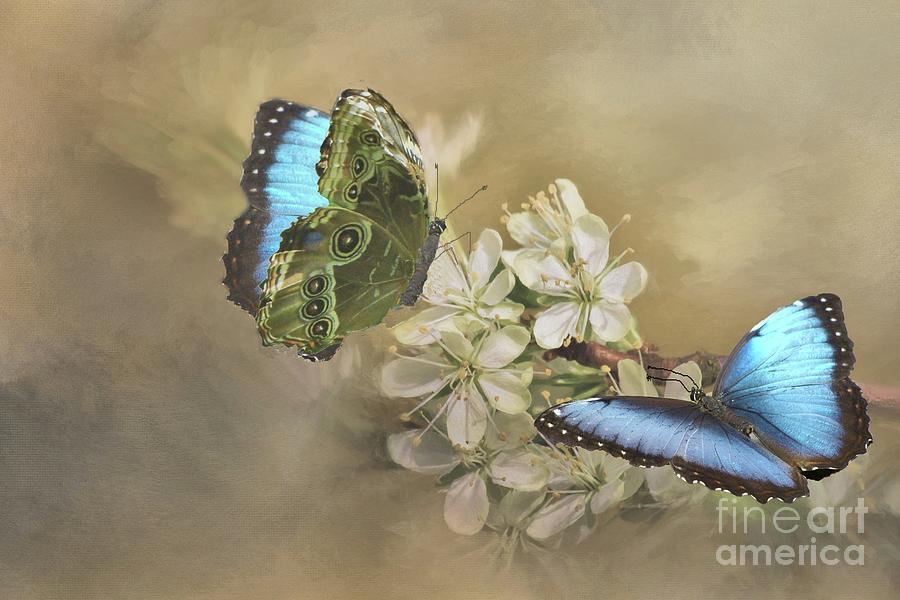 Blue Morpho in Spring Digital Art by Janette Boyd