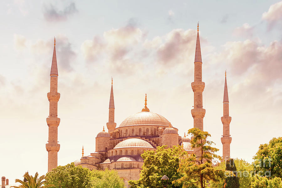 Blue mosque of Istanbul Photograph by Anna Om