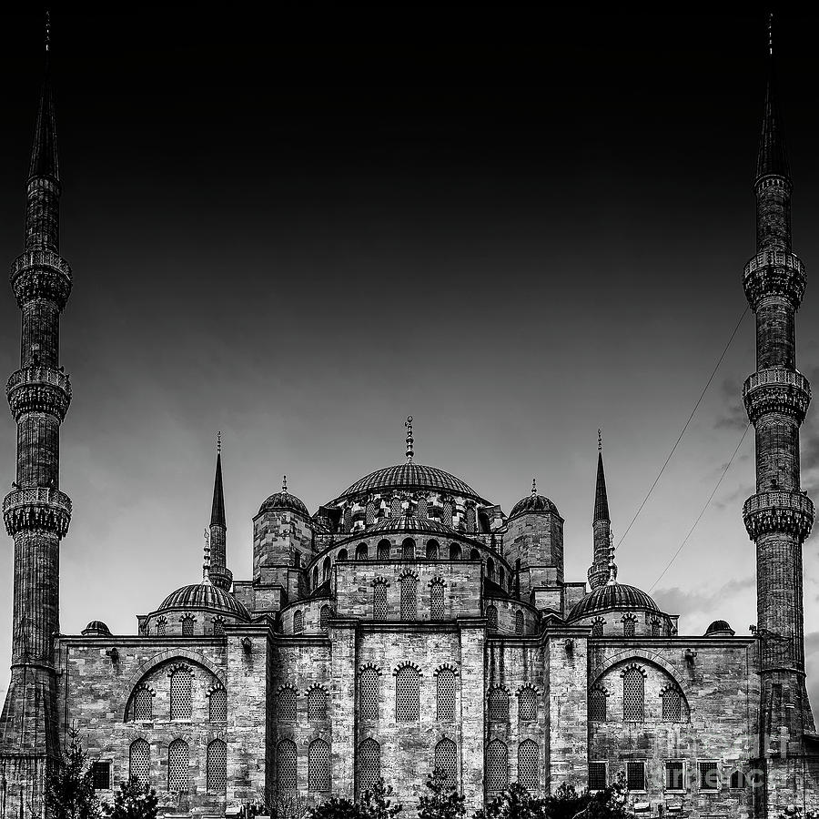 Blue Mosque Rear Side Monochromatic Photograph by Antony McAulay
