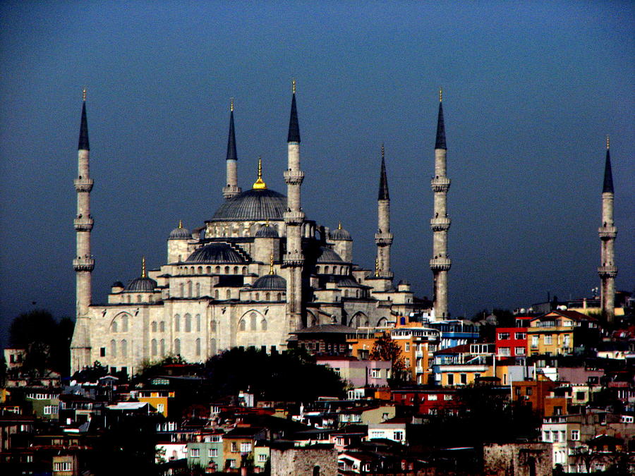 Blue Mosque Photograph by T Guy Spencer